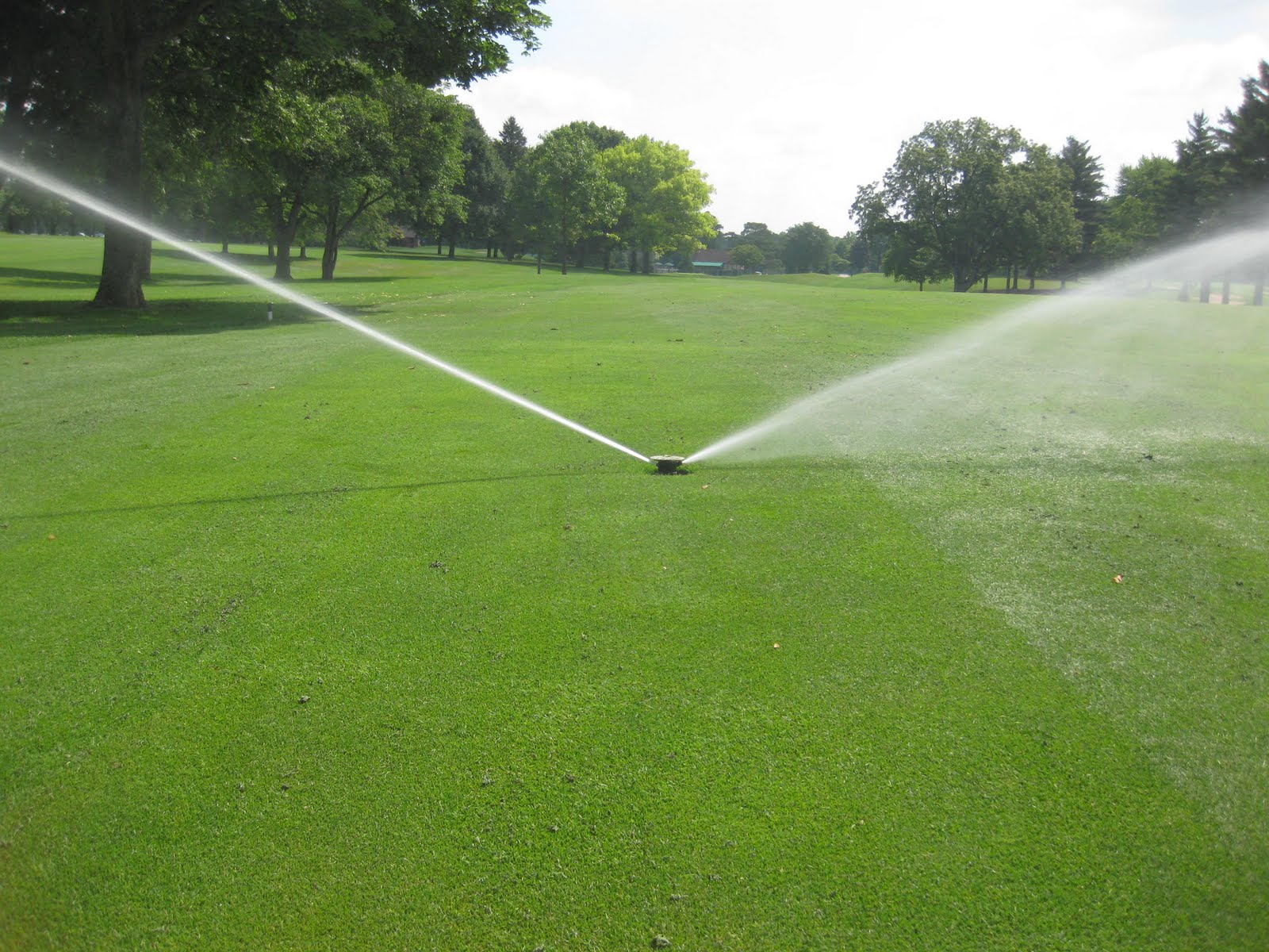 Case Study – Golf Course Irrigation